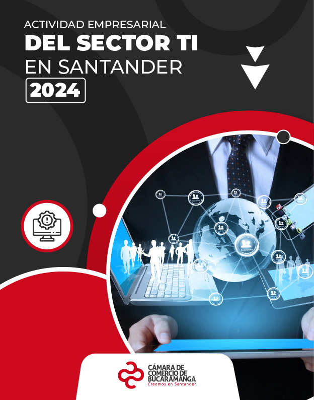 Actividad Empresarial del Sector TI en Santander 2024