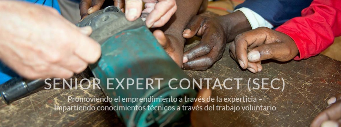 SENIOR EXPERT CONTACT