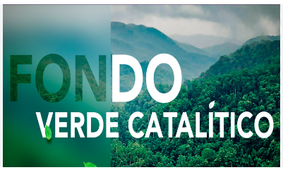 FONDO VERDE CATALITICO