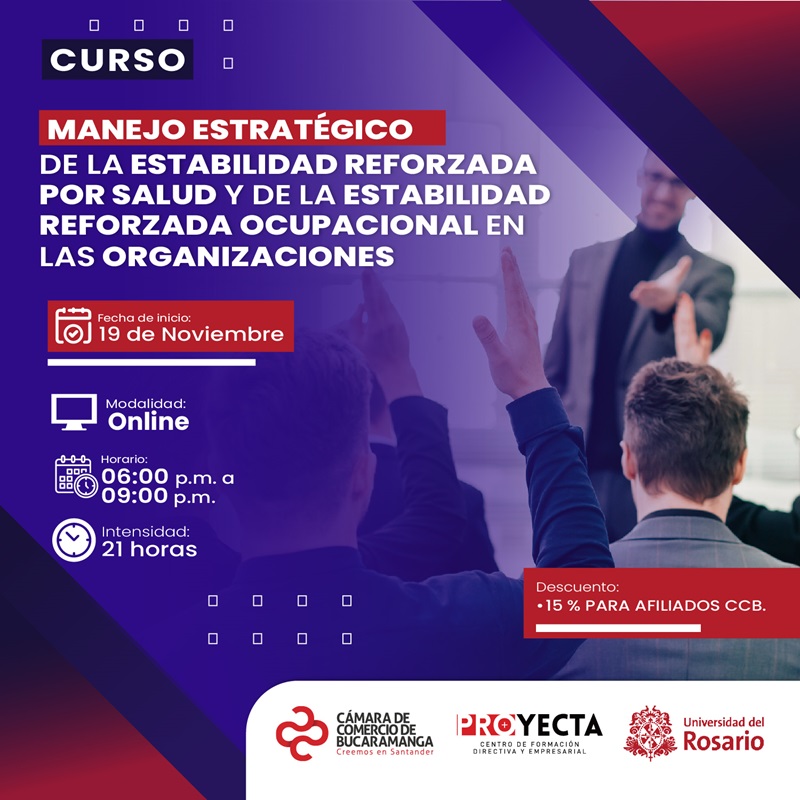 CURSO MANEJO ESTRATÉGICO DE LA ESTABILIDAD REFORZADA POR SALUD Y OCUPACIONAL EN LAS ORGANIZACIONES