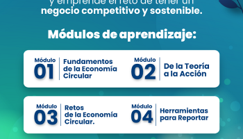 CURSO DE ECONOMÍA CIRCULAR PARA PYMES COMPETITIVAS